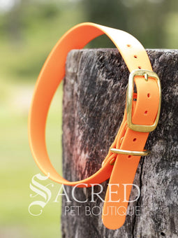 A blue Biothane waterproof flat collar with brass buckle and brass D ring for leash attachment, displayed on a wooden post. With a Sacred Pet Boutique Watermark. 