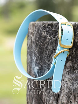 A blue Biothane waterproof flat collar with brass buckle and brass D ring for leash attachment, displayed on a wooden post. With a Sacred Pet Boutique Watermark. 