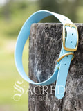 A light blue Biothane waterproof flat collar with brass buckle and a brass D ring for leash attachment, displayed on a wooden post. With a Sacred Pet Boutique Watermark. 