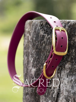 A blue Biothane waterproof flat collar with brass buckle and brass D ring for leash attachment, displayed on a wooden post. With a Sacred Pet Boutique Watermark. 