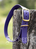 A purple Biothane waterproof flat collar with brass buckle and a brass D ring for leash attachment, displayed on a wooden post. With a Sacred Pet Boutique Watermark. 