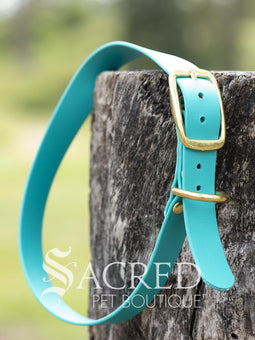 A blue Biothane waterproof flat collar with brass buckle and brass D ring for leash attachment, displayed on a wooden post. With a Sacred Pet Boutique Watermark. 