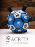 The Canine Care herding ball with tabs has a typical soccer ball pattern coloured in blue, white and black with paw prints in each pentagonal section. Tabs for carrying follow the circumference of the ball.
