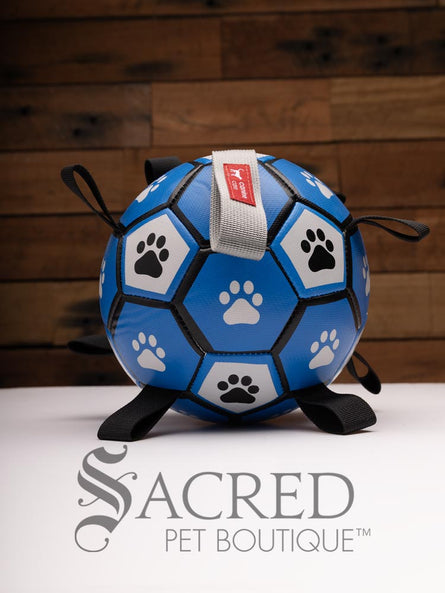 The Canine Care herding ball with tabs has a typical soccer ball pattern coloured in blue, white and black with paw prints in each pentagonal section. Tabs for carrying follow the circumference of the ball. A grey handle for humans is visible