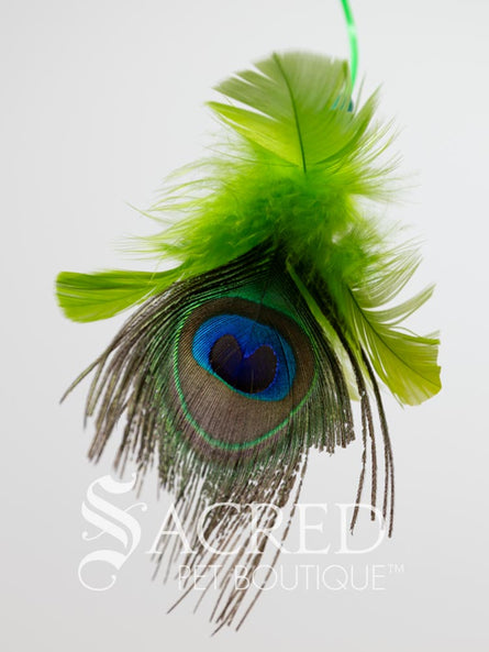 The end of the tie on replacement cat toy is shown on a plain white background. The Feathers are green and in the centre is a peacock eye feather.