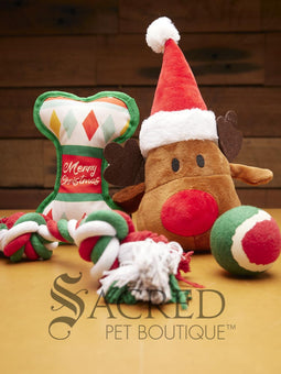 Christmas Dog Gift Pack