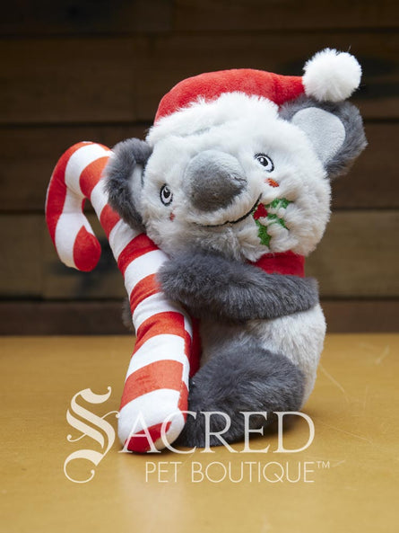 Christmas Koala with Candy Cane