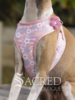 An Italian Greyhound dog wearing a black and white tuxedo style EasyGO pet harness with a bright red plush bow tie. A white fabric triangle mimics a formal dress shirt. The dog is sitting upright in front of a rustic background of horizontal wood planks with a white Sacred Pet Boutique watermark at the bottom of the image. 