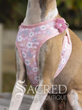 A tan and white dog wearing a pink floral pet harness with a flower applique and diamontes, shown outdoors with a blurred background. A 'Sacred Pet Boutique' watermark is visible at the bottom.