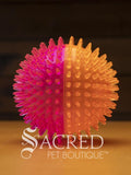 The squeaky spiky Galaxy balls are in two colour combinations. This Large one is pink with orange. It sits on a wooden table with a wood plank background wall.