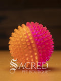 The squeaky spiky Galaxy balls are in two colour combinations. This Medium ball is pink with orange. It sits on a wooden table with a wood plank background wall.