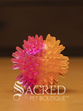 The squeaky spiky Galaxy balls are in two colour combinations. This small one is pink with orange. It sits on a wooden table with a wood plank background wall.