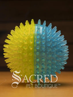 All three sizes of the squeaky spiky Galaxy ball are lined up for comparison. The balls are in two colour combinations - pink with orange, blue with green, and purple with black. All sitting on a wooden table with a wood plank background wall.