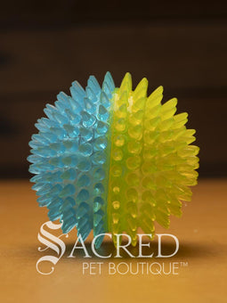 All three sizes of the squeaky spiky Galaxy ball are lined up for comparison. The balls are in two colour combinations - pink with orange, blue with green, and purple with black. All sitting on a wooden table with a wood plank background wall.