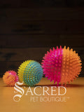 All three sizes of the squeaky spiky Galaxy ball are lined up for comparison. The balls are in two colour combinations - pink with orange, blue with green, and purple with black. All sitting on a wooden table with a wood plank background wall.