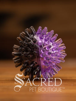 All three sizes of the squeaky spiky Galaxy ball are lined up for comparison. The balls are in two colour combinations - pink with orange, blue with green, and purple with black. All sitting on a wooden table with a wood plank background wall.