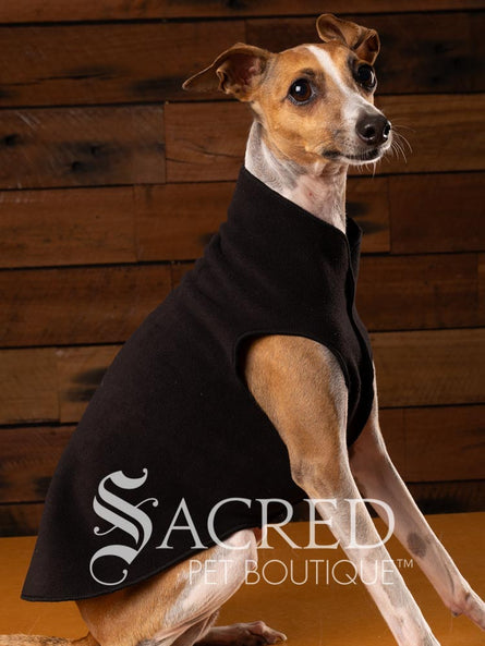 Rossi, and Italian Greyhound, is wearing a black stretch fleece in size 12.