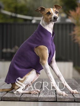 Rossi, an Italian Greyhound dog wearing a red Stretch Fleece garment in size 12.