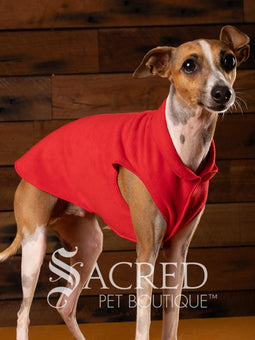 Rossi, an Italian Greyhound dog wearing a red Stretch Fleece garment in size 12.
