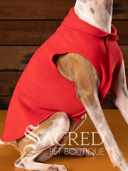 Rossi, an Italian Greyhound dog wearing a red Stretch Fleece garment in size 12.