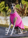 An Italian greyhound dog wearing a bright pink sleeveless pet sweater sits on a wooden deck outdoors with green foliage in the background. A 'Sacred Pet Boutique' watermark is visible at the bottom.
