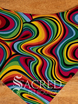 Italian greyhound dog wearing a purple poppy patterned ANZAC memorial bandana with 'Sacred Pet Boutique' watermark.
