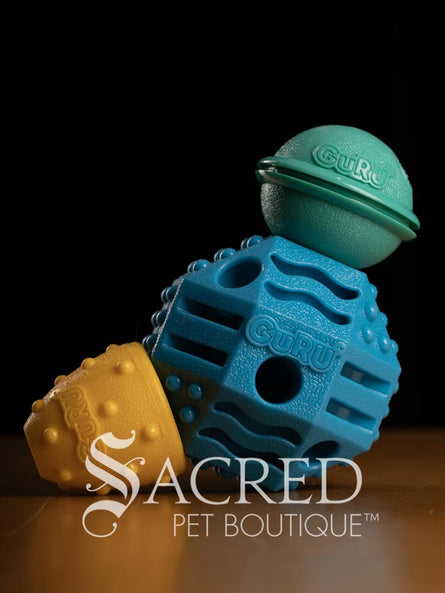 Blue, teal and yellow textured pet enrichment treat toys with 'Guru' branding on a dark background, featuring the 'Sacred Pet Boutique' logo.