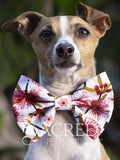 Dog wearing a floral bow tie with 'Sacred Pet Boutique' branding.
