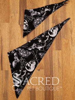 Italian greyhound dog wearing a purple poppy patterned ANZAC memorial bandana with 'Sacred Pet Boutique' watermark.