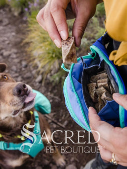 A person wearing a backpack with a blue and teal colour scheme is holding a treat in front of a dog's face. The dog is wearing a teal green harness and is attentive to the treat.