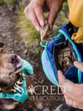 A person wearing a backpack with a blue and teal colour scheme is holding a treat in front of a dog's face. The dog is wearing a teal green harness and is attentive to the treat.