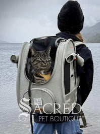 Person carrying a pet carrier with a cat inside, with a dog. surrounded by greenery, featuring the watermark 'Sacred Pet Boutique'.