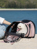 A small white dog sits inside a pink and black pet carrier bag on a beach with blue water and trees in the background. A person's arm and leg are visible beside the carrier. A Sacred Pet Boutique watermark in white at the bottom.