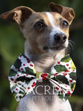 Dog wearing a festive bow tie with 'Sacred Pet Boutique' branding.