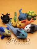 A collection of colorful felt cat toys with various shapes and patterns, including fish, a turtle and a orca. Displayed on a wooden background with a grey Sacred Pet Boutique watermark.