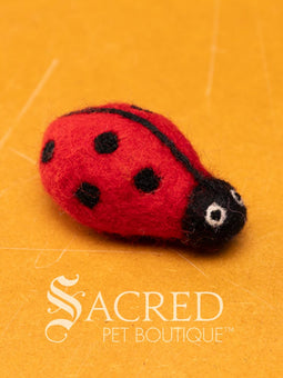A pile of colourful wool felt balls with polka dots sits on a wooden table. Suitable for all cats and small to teacup sized dogs.