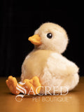 A fluffy cream-colored plush baby duck toy with a yellow beak and feet, sitting on a wooden surface against a black background. A 'Sacred Pet Boutique' watermark is visible at the bottom.