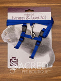 Cat Harness with Lead