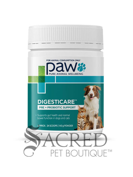 A white plastic bottle of Paw Pure Animal Wellbeing Digesticare pre and probiotic support powder for pets, featuring a teal and green label with an image of a dog and cat, on a white background with a 'Sacred Pet Boutique' watermark at the bottom.
