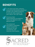 An information graphic for PAW Digesticare featuring a teal and white layout with the word 'BENEFITS' at the top, three bullet points of text about pet gut health, a brown and white dog, and a tabby cat on the right, and the Sacred Pet Boutique watermark at the bottom.
