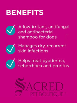 A 200 mL squeeze tube of Paw Mediderm Gentle Medicated Shampoo for pets, featuring a white tube with a black cap and a picture of a golden retriever on the label, set against a plain white background with a 'Sacred Pet Boutique' watermark at the bottom.