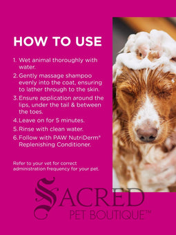 A 200 mL squeeze tube of Paw Mediderm Gentle Medicated Shampoo for pets, featuring a white tube with a black cap and a picture of a golden retriever on the label, set against a plain white background with a 'Sacred Pet Boutique' watermark at the bottom.