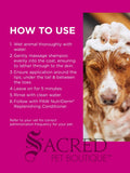 Instructional graphic for Sacred Pet Boutique detailing how to use PAW MediiDerm medicated shampoo on a wet dog, featuring a brown and white dog with soap lather on its head against a bright magenta background with white text. A grey Sacred Pet Boutique watermark across the bottom.