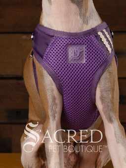 An Italian Greyhound dog wearing a black and white tuxedo style EasyGO pet harness with a bright red plush bow tie. A white fabric triangle mimics a formal dress shirt. The dog is sitting upright in front of a rustic background of horizontal wood planks with a white Sacred Pet Boutique watermark at the bottom of the image. 