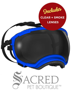 A black and white border collie dog wearing blue Rex Specs goggles is seen running in long dry grass. The goggles feature a green mirrored lens. The image has a white Sacred Pet Boutique watermark. 