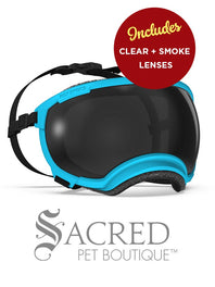 A black and white border collie dog wearing blue Rex Specs goggles is seen running in long dry grass. The goggles feature a green mirrored lens. The image has a white Sacred Pet Boutique watermark. 