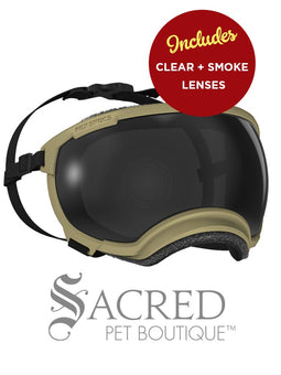 A black and white border collie dog wearing blue Rex Specs goggles is seen running in long dry grass. The goggles feature a green mirrored lens. The image has a white Sacred Pet Boutique watermark. 