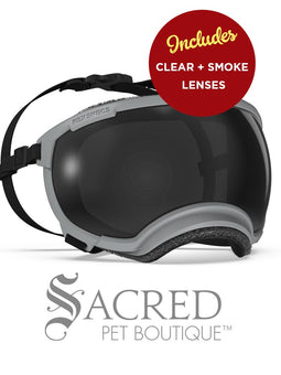 A black and white border collie dog wearing blue Rex Specs goggles is seen running in long dry grass. The goggles feature a green mirrored lens. The image has a white Sacred Pet Boutique watermark. 