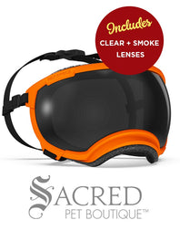 A black and white border collie dog wearing blue Rex Specs goggles is seen running in long dry grass. The goggles feature a green mirrored lens. The image has a white Sacred Pet Boutique watermark. 