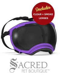 A black and white border collie dog wearing blue Rex Specs goggles is seen running in long dry grass. The goggles feature a green mirrored lens. The image has a white Sacred Pet Boutique watermark. 